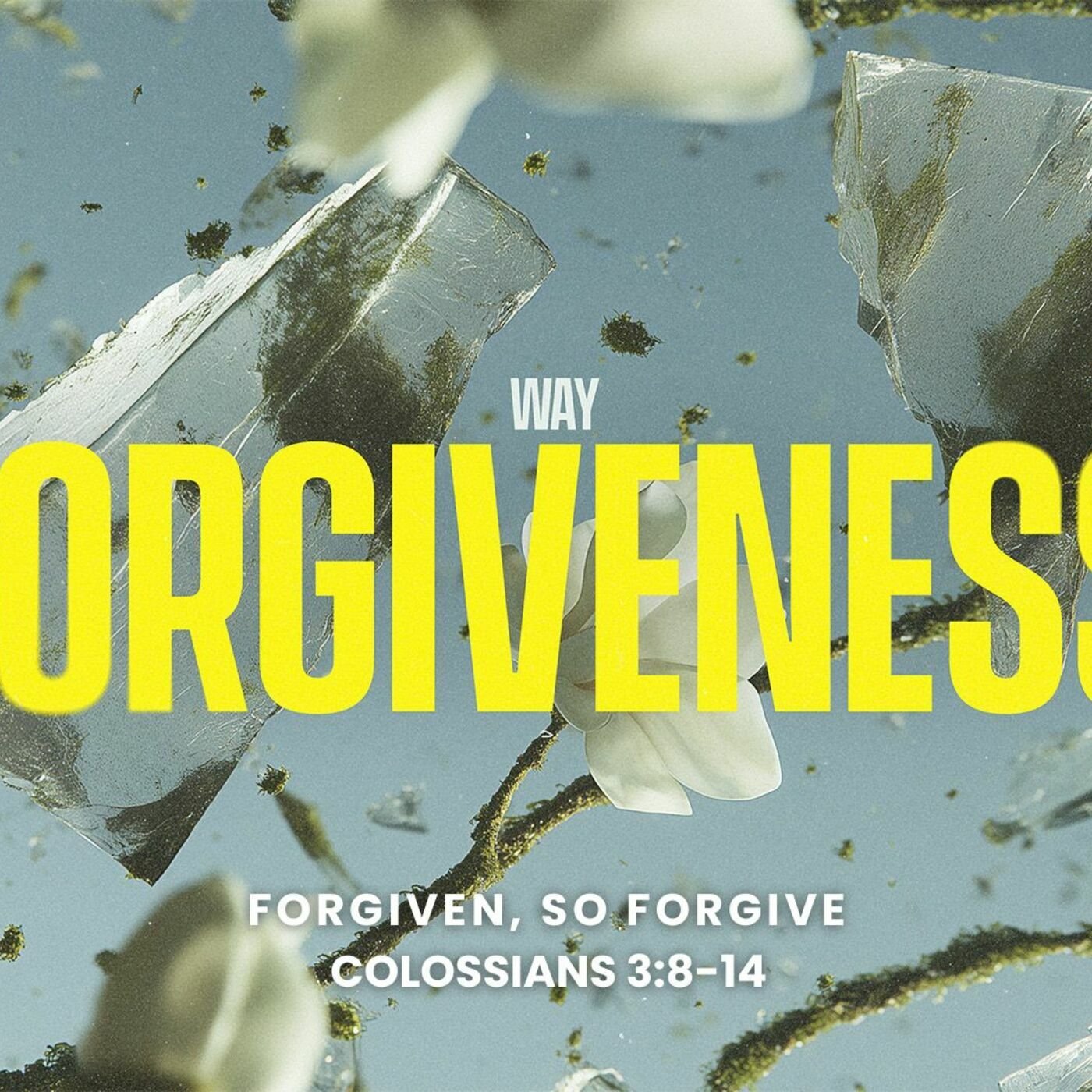 The Way of Forgiveness #3 - Forgiven, So Forgive episode artwork