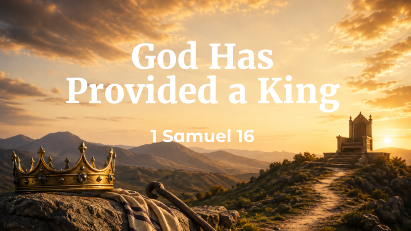 God has provided a King