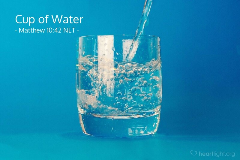 Sermon for June 28, 2026 by Rabbi Michael Knopf