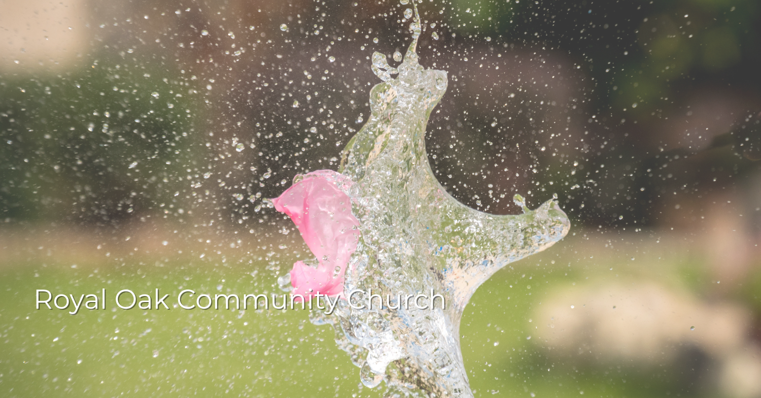 Slideshow image