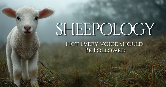 SHEEPOLOGY –  Not Every Voice Should Be Followed