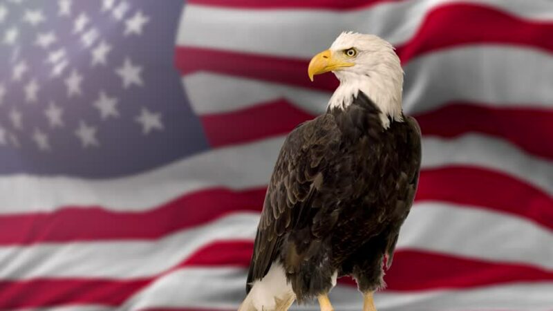 Celebrating 250 Years if the United States