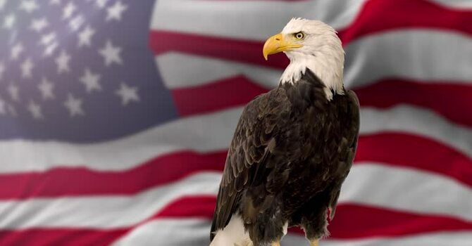 Celebrating 250 Years if the United States