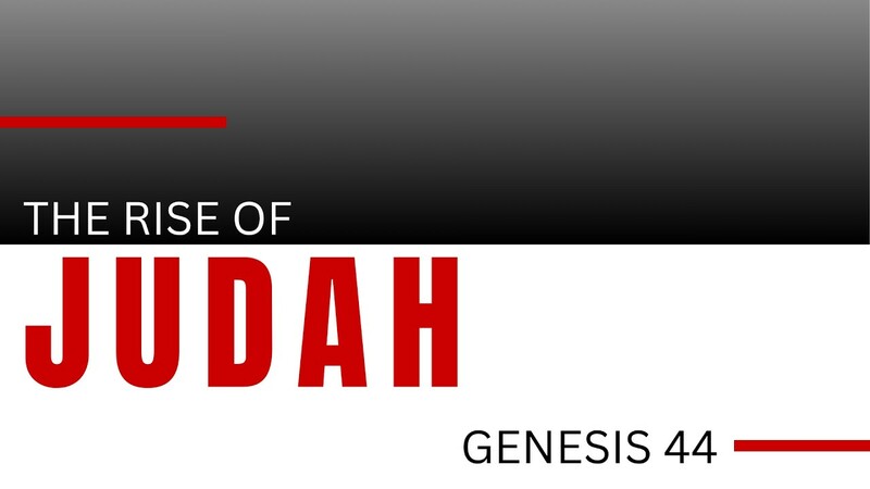 The Call to Genesis Week 71