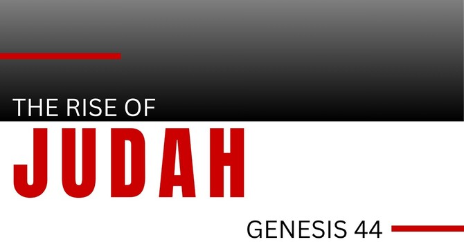 The Call to Genesis Week 71