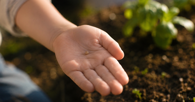  Small Things, Big Growth - Tuesday, 06/30/2026