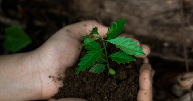 Environmental Stewardship