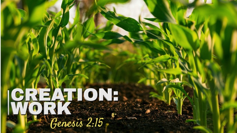 Creation: Work