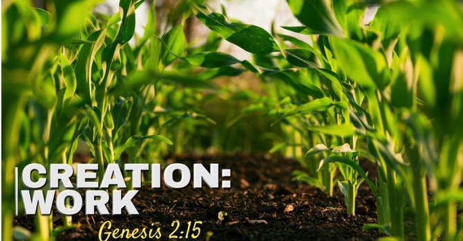 Creation: Work