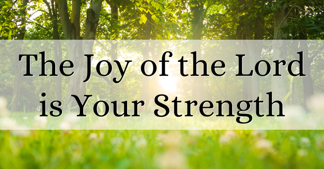 Weekly Newsletter