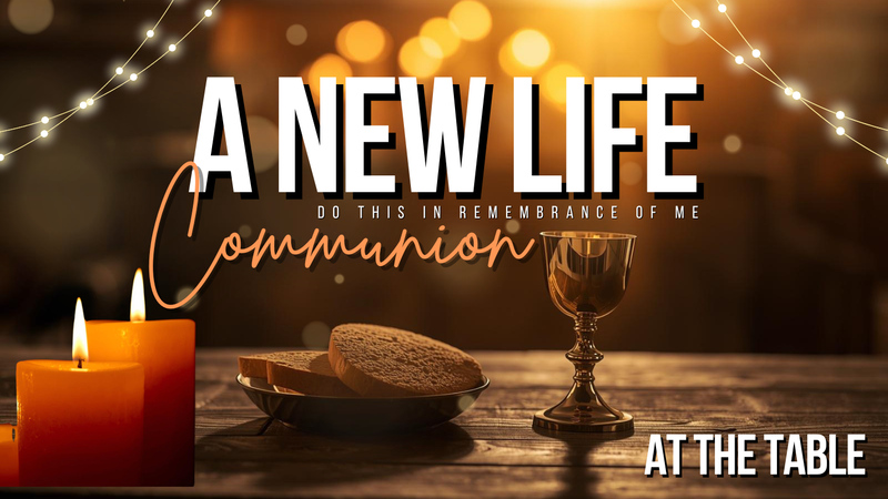 A New Life