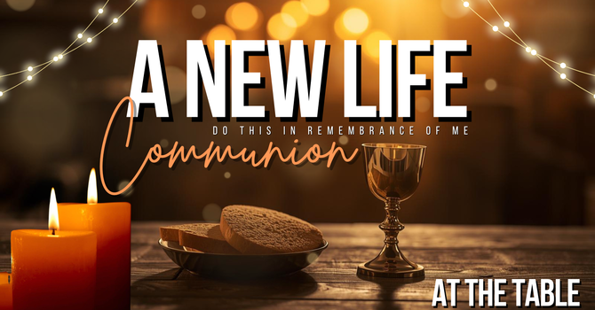 A New Life