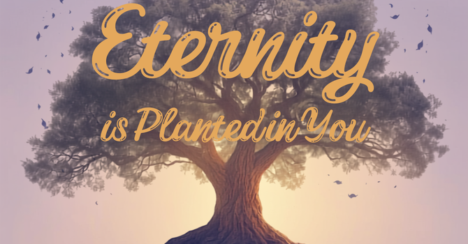 Eternity Is Planted in You image