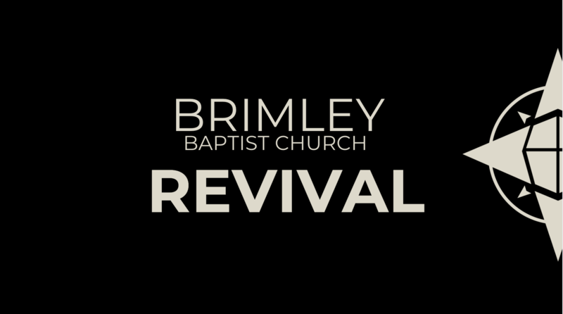 BRIMLEY - REVIVAL pt3