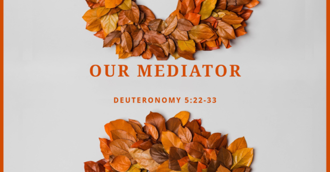 Our Mediator