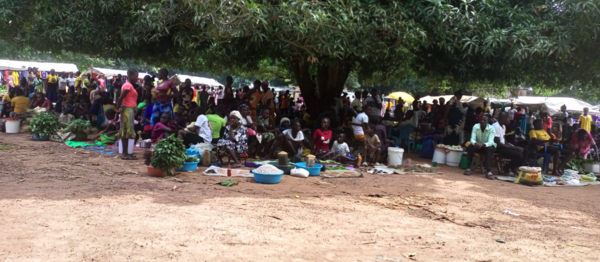 Message from the Diocese of IBBA