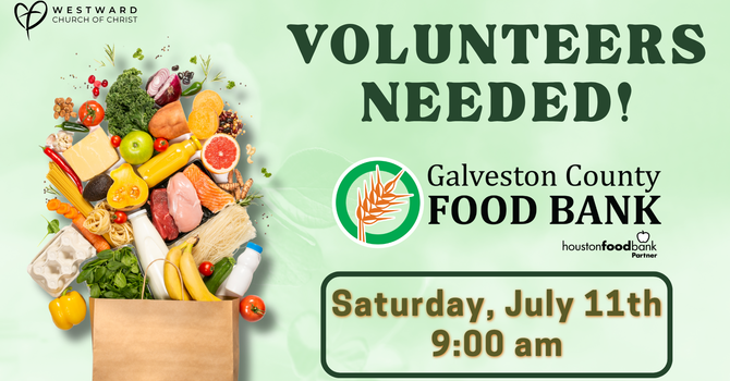 Volunteer at the Galveston County Food Bank