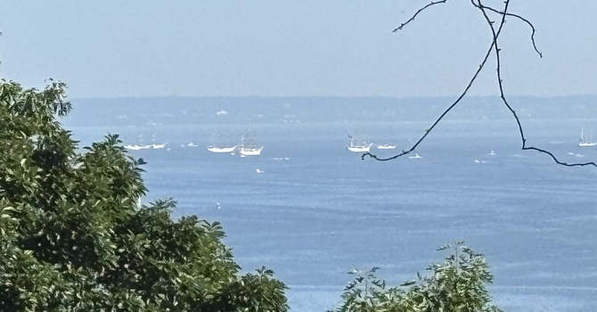 Summer Days, Sabbath, & Mary Oliver image