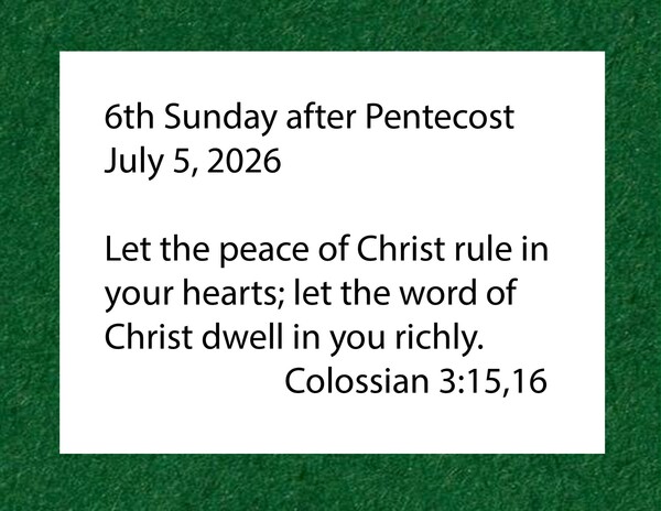 6th Sunday after Pentecost