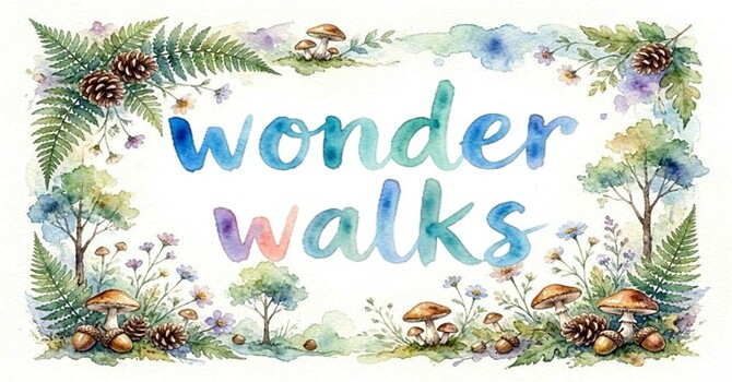 Wonder Walks