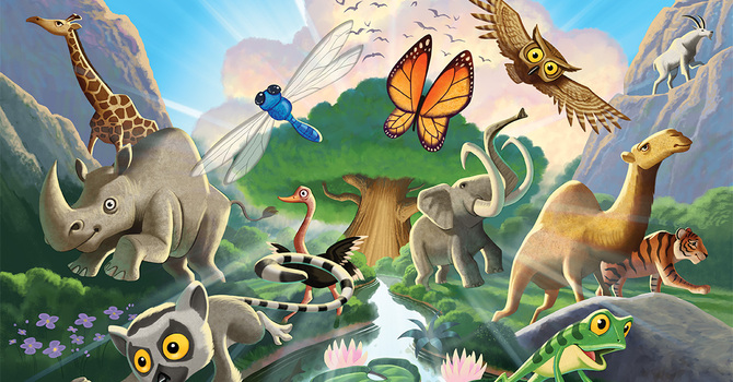 Rainforest Falls VBS