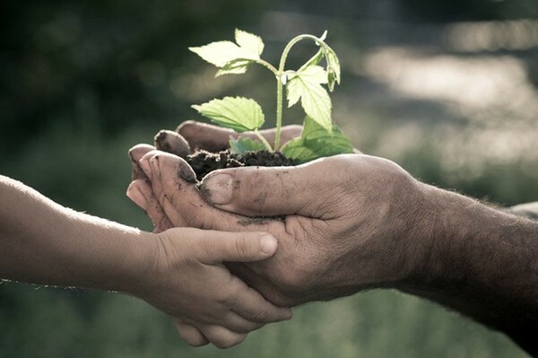 Planned Giving