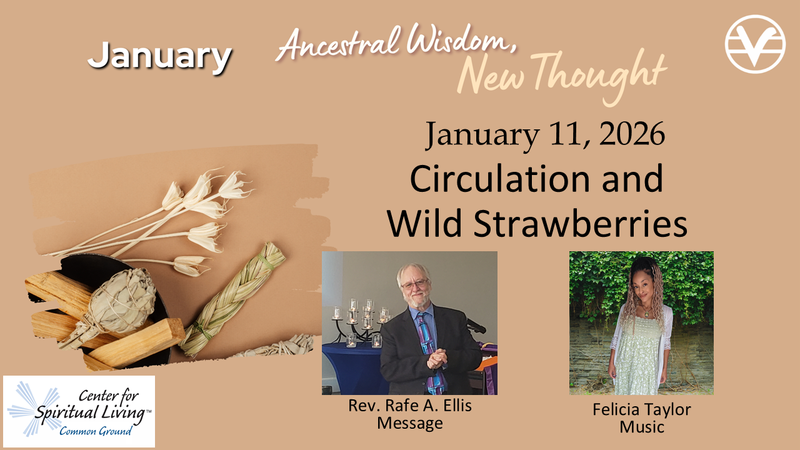 Circulation and Wild Strawberries - Personal Outer - Week 2