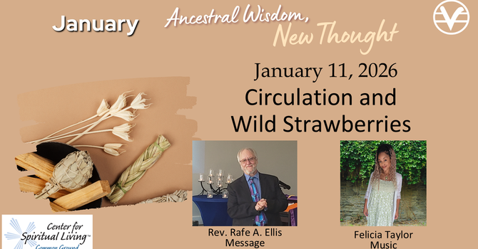 Circulation and Wild Strawberries - Personal Outer - Week 2