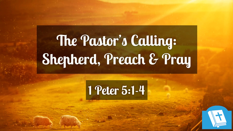 The Pastor's Calling: Shepherd, Preach & Pray