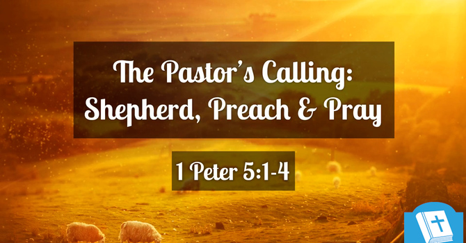 The Pastor's Calling: Shepherd, Preach & Pray