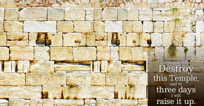 Studies in the Gospel of John