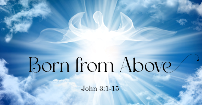 Studies in the Gospel of John