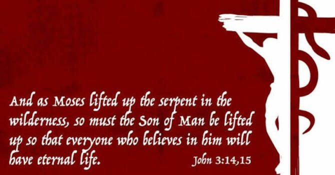 Studies in the Gospel of John