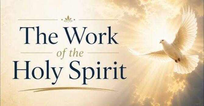 Studies in the Gospel of John