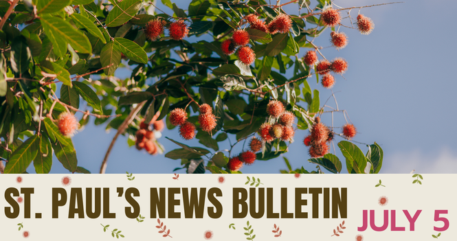 July 5 News Bulletin 