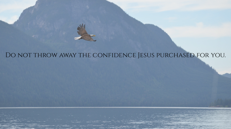 Do Not Throw Away Your Confidence, Hebrews 10:26-39
