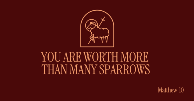 You are worth more than many sparrows