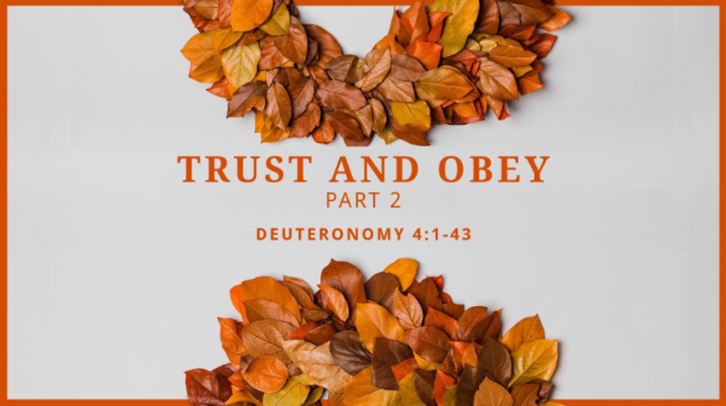 Trust and Obey, part 2