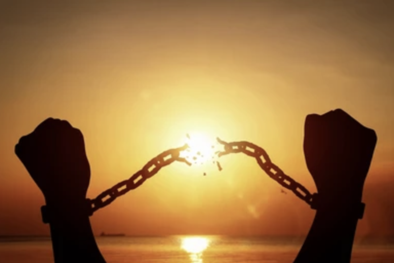 Changed by Freedom