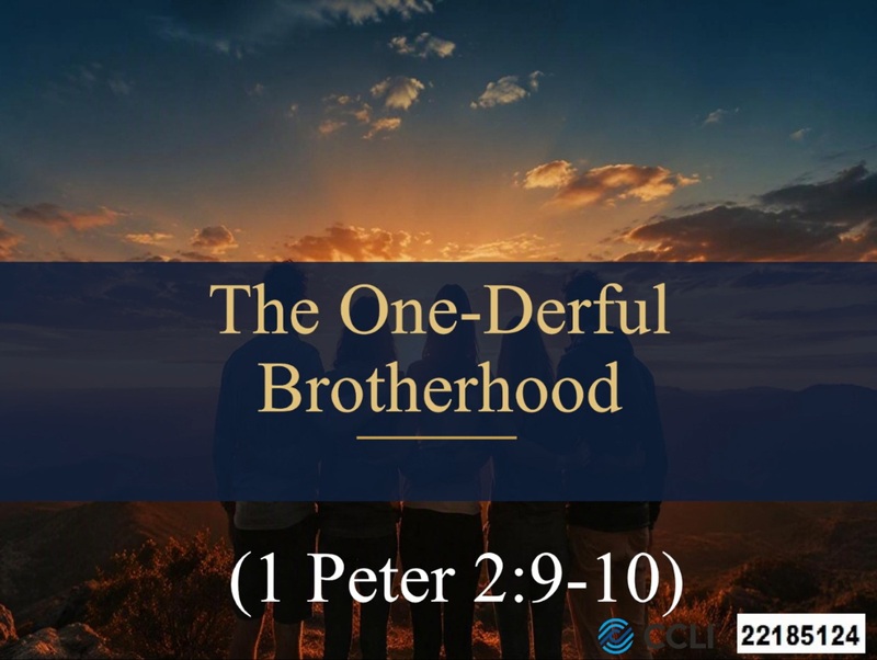 The One-derful Brotherhood