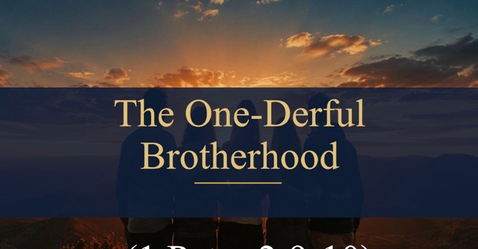 The One-derful Brotherhood