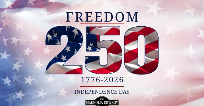 Fourth of July: Freedom image