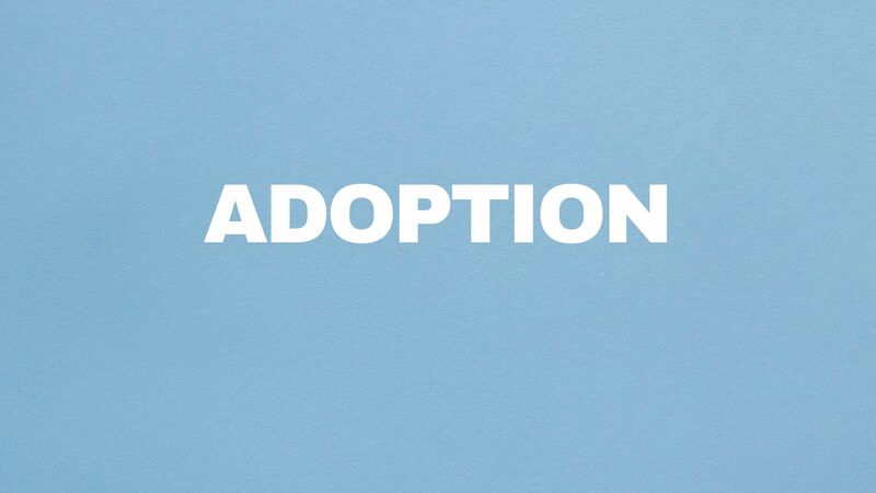 Adoption