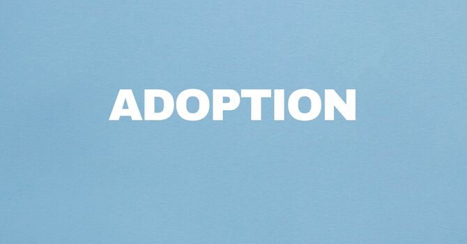 Adoption