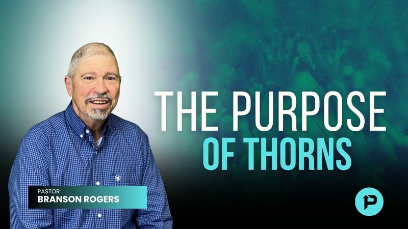 The Purpose of Thorns