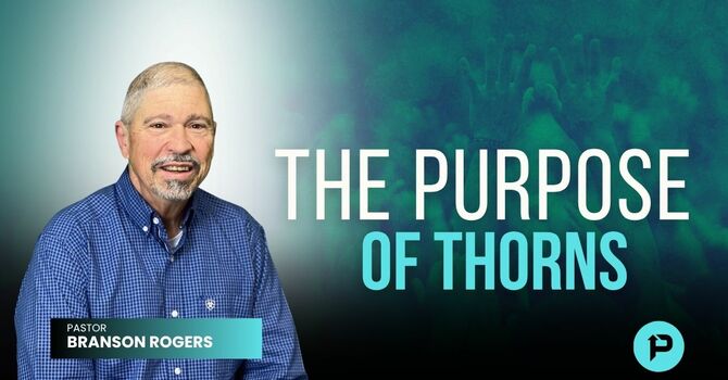 The Purpose of Thorns