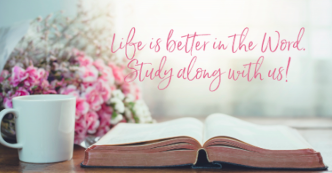 Women's Bible Study