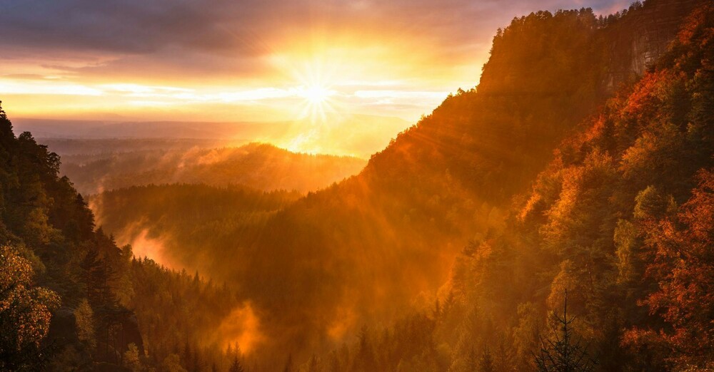 Seventh Sunday after Pentecost - July 12th, 2026