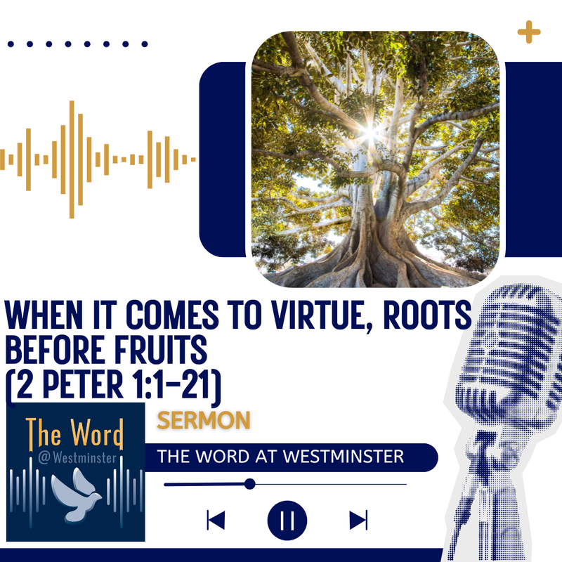 When it comes to virtue, roots before fruits.