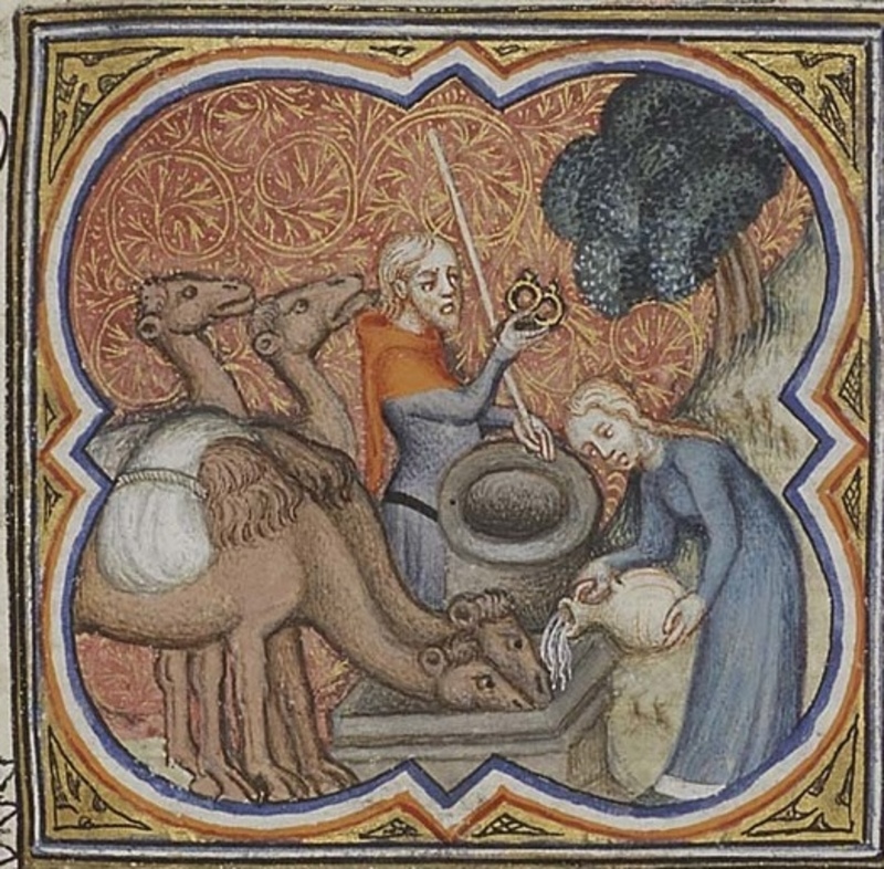 Good Wife Hunting